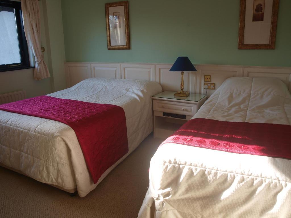 Shelmalier House Hotel Атлоун Стая снимка