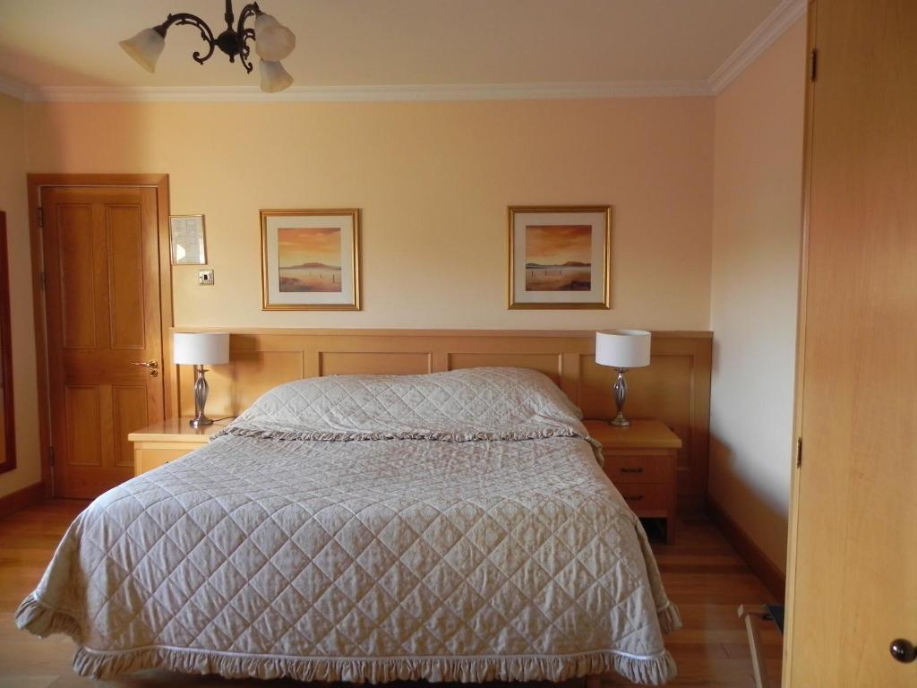 Shelmalier House Hotel Атлоун Стая снимка